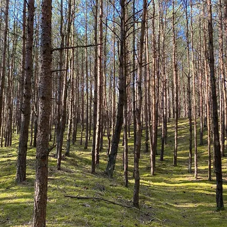 Polanki Sea דירה קולובז'ג